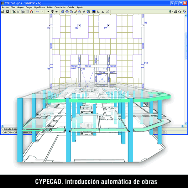 Introducción automática de obras